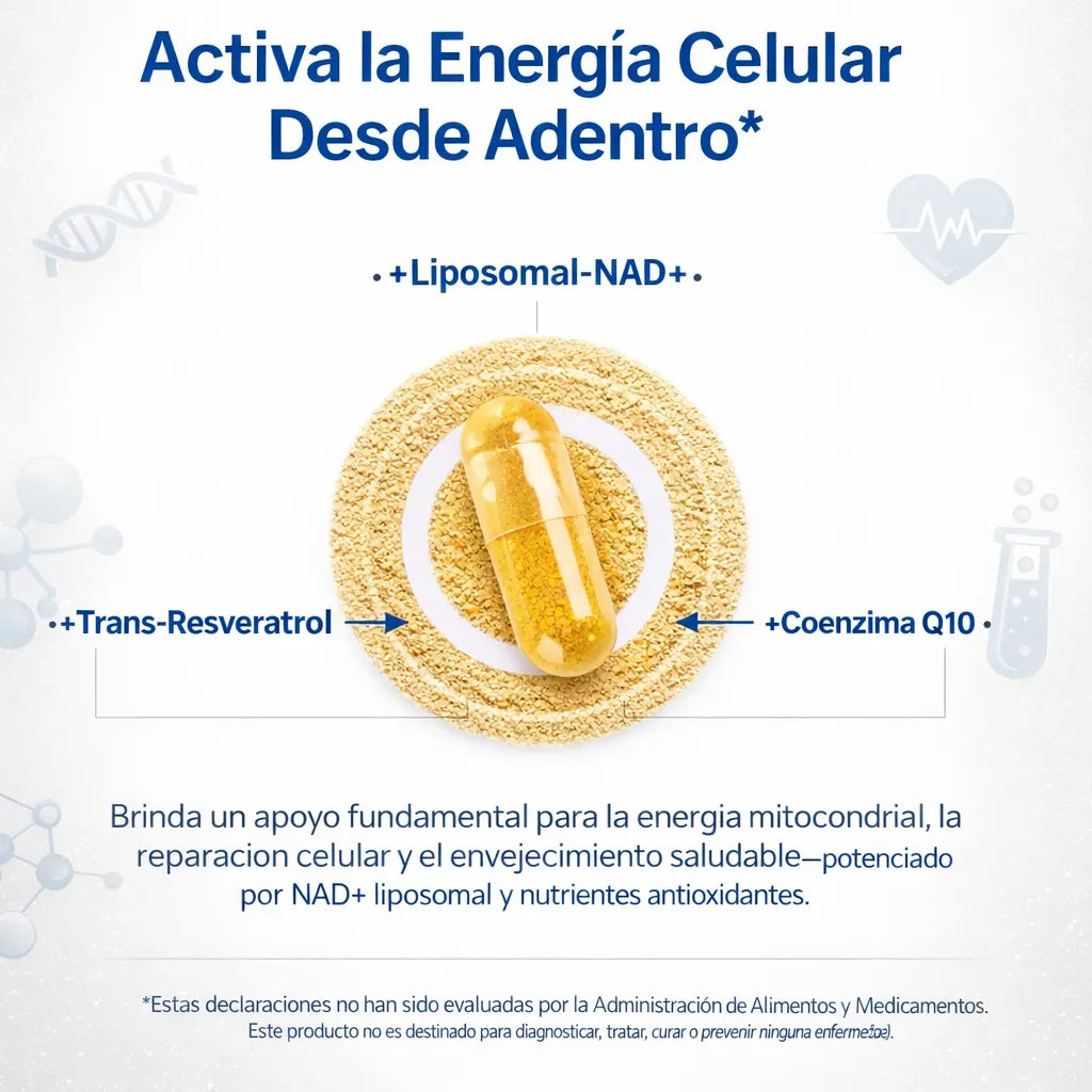 Selerb NAD+| INGENIERÍA NATURAL: Blindaje Cardiaco + Energía Real + Venas Limpias