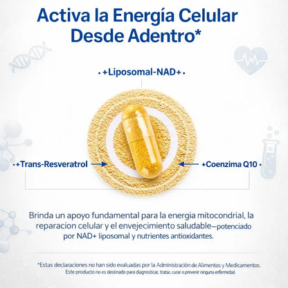 Selerb NAD+| INGENIERÍA NATURAL: Blindaje Cardiaco + Energía Real + Venas Limpias